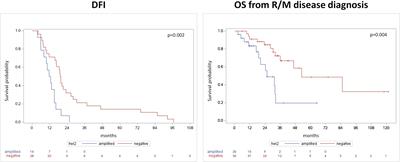 HER2 status in recurrent/metastatic androgen receptor overexpressing salivary gland carcinoma patients